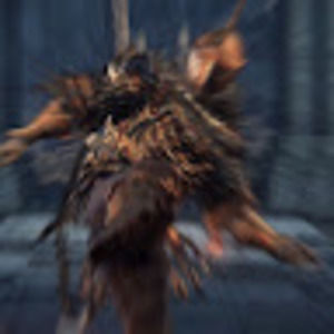 Meet your Posher, Jannon